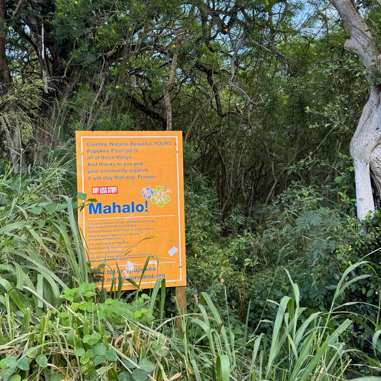 【ハワイ】おすすめ観光スポット〜ノースショア編〜_8