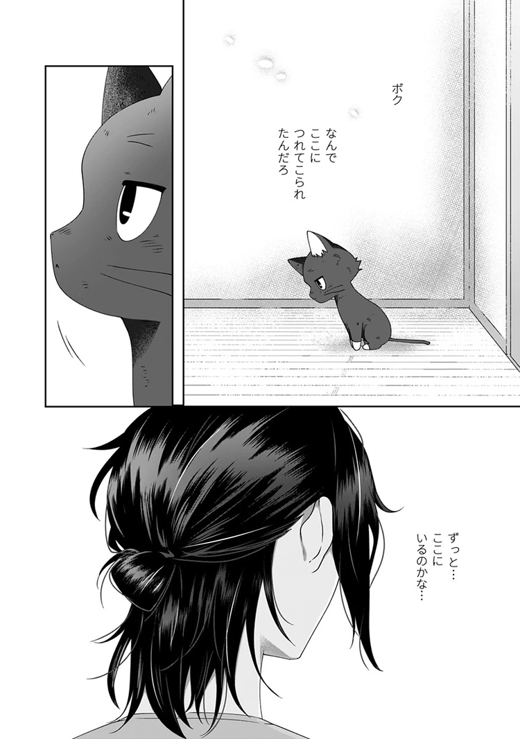 猫には猫の猫ごはん。 4話 page2