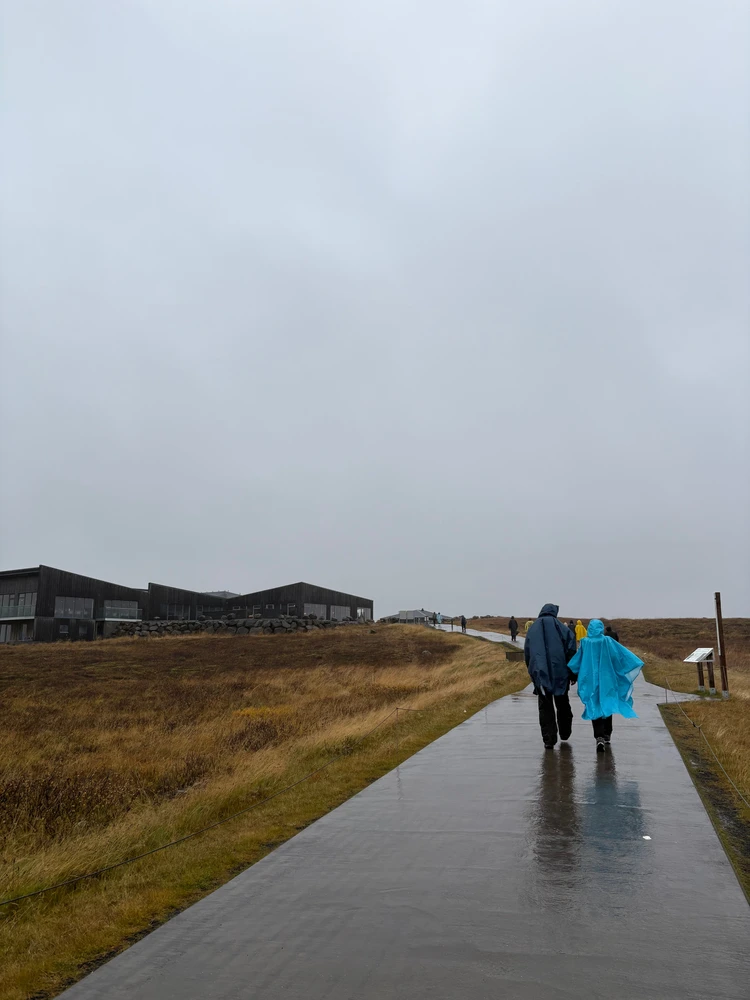 暮らすように旅する北欧・アイスランド! 大自然とカフェ巡りを4日間で堪能するモデルコース|前編_20_3