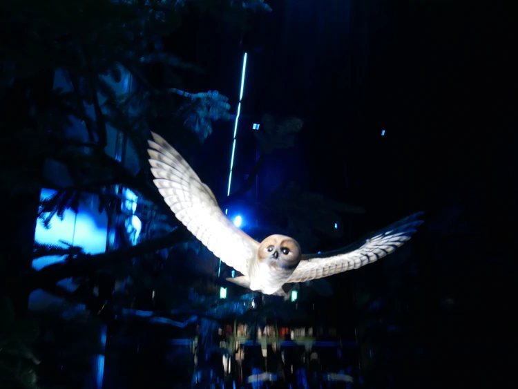 「ハリー・ポッター ショップ 原宿」禁じられた森