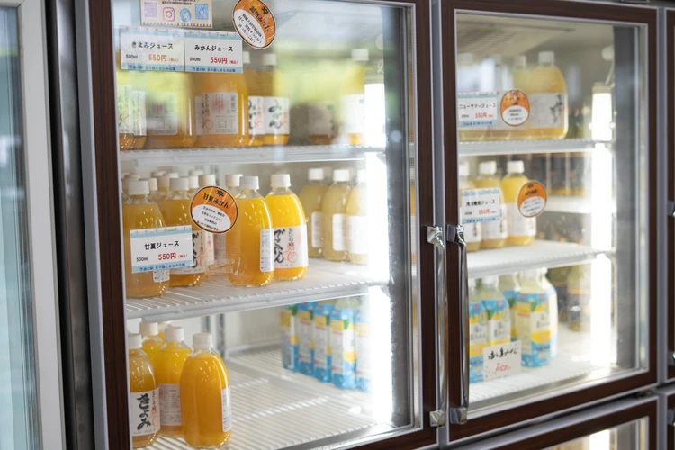 【しまなみ海道サイクリング】“愛媛のいいとこ全部入り”最高プラン（後編）_9_2