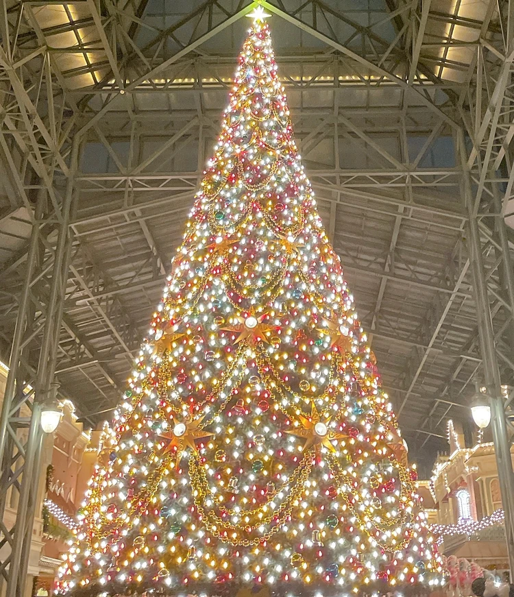 【クリスマスディズニー】絶対チェックしてほしいポイントをご紹介!ランドの大人の楽しみ方!_1