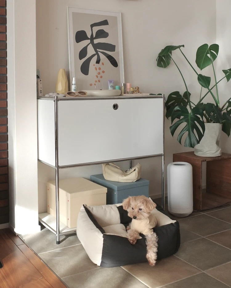 ワンちゃんをお迎えしたお家におすすめしたい気分が上がるインテリア_6