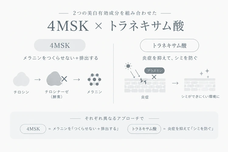 ELIXIR エリクシール ブライトニング ローション ca