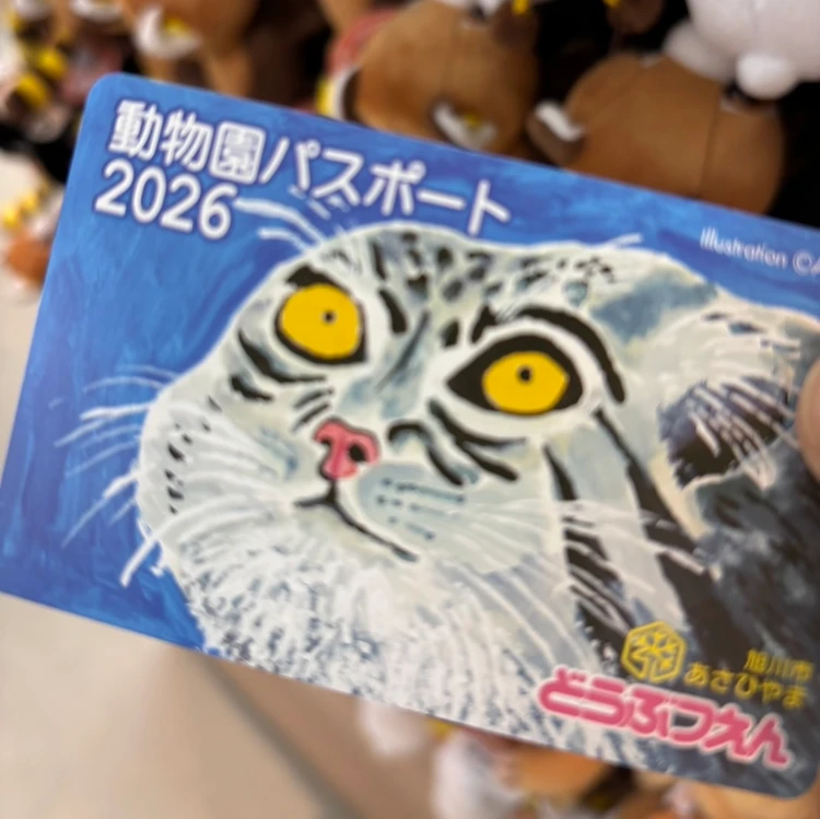 【旭山動物園】ゴールデンウイークの動物たちの様子は？写真と動画たっぷりでご紹介_4