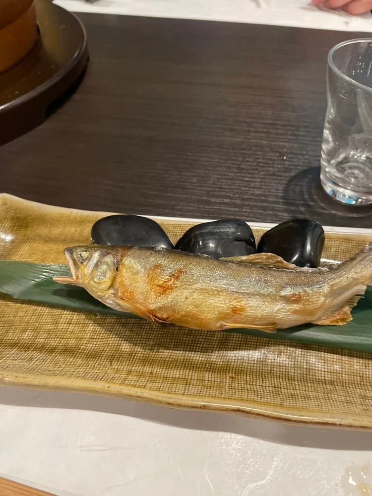 🌲0歳＆2歳と一緒に！自然たっぷり癒しの奥多摩日帰り旅行プラン【釣り・BBQ・美食・温泉】 #旅行部_4