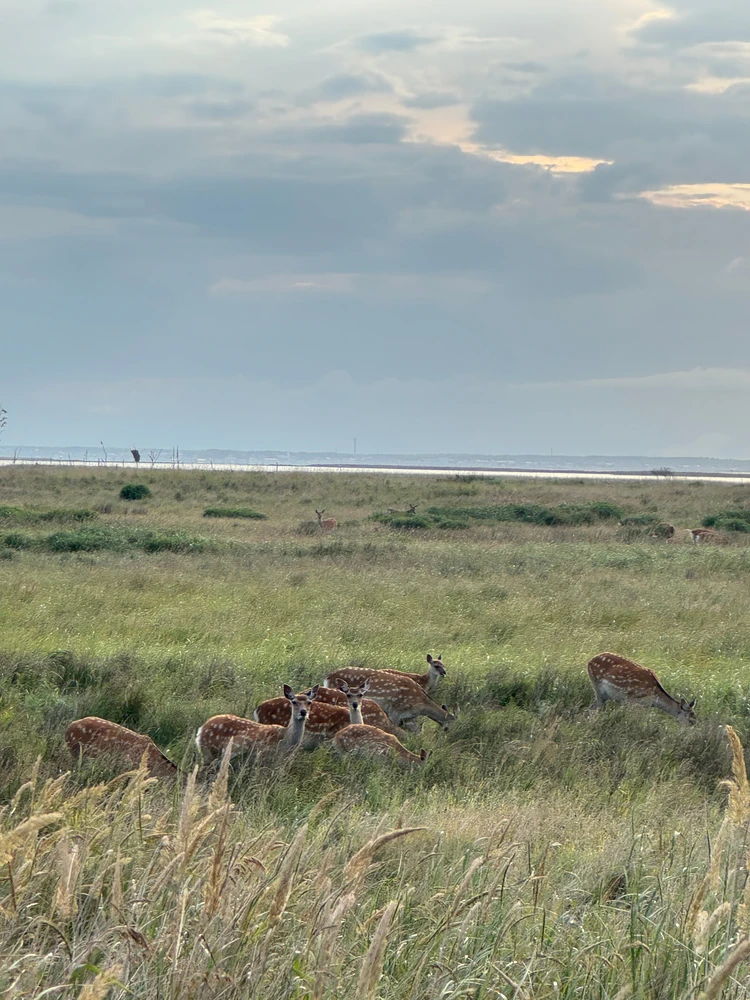 【北海道 道東エリア】網走・知床・弟子屈２泊３日絶景旅②知床半島＆野付半島編_20