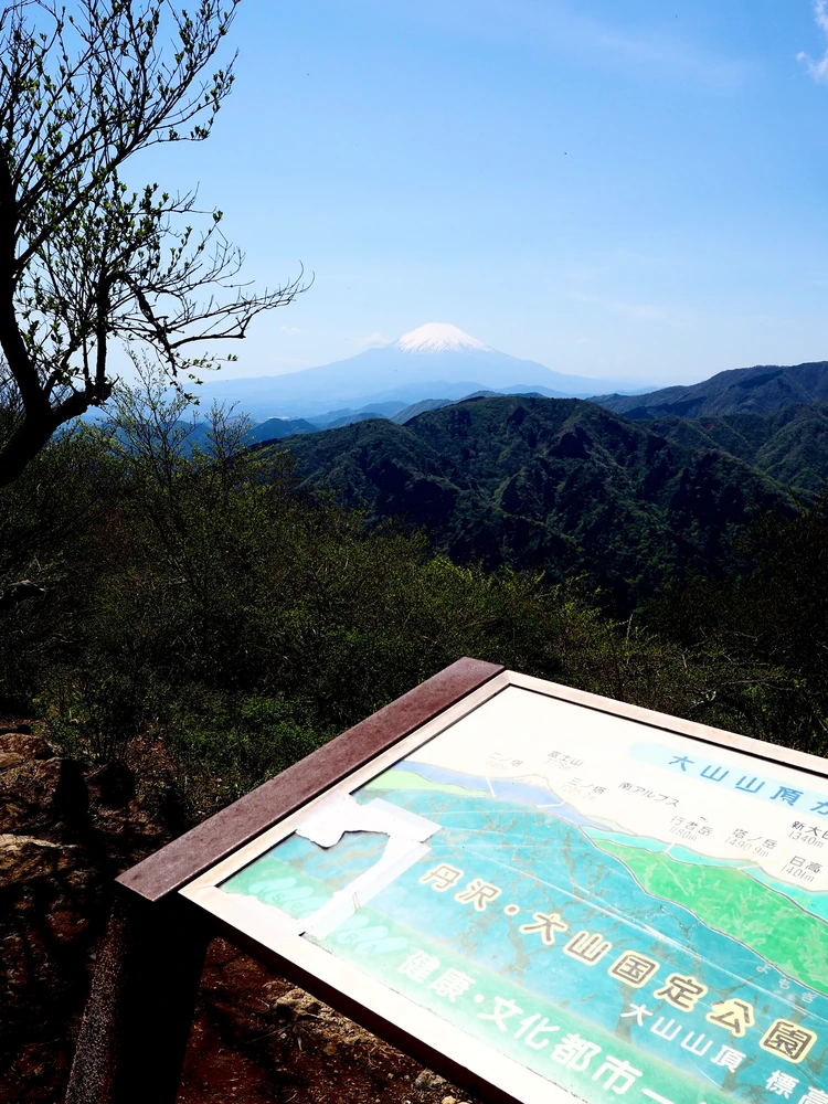 大山からの富士絶景