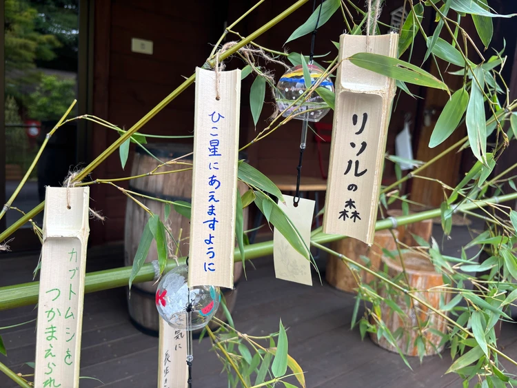 本物の竹を使用した七夕飾りが登場