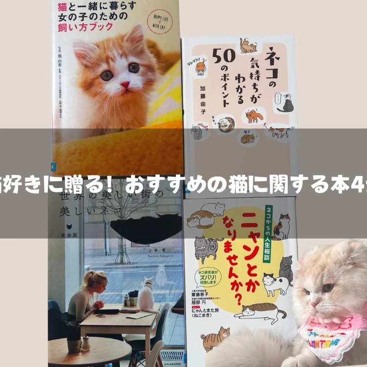 猫好きに贈る！おすすめの猫に関する本4選｜＠BAILA