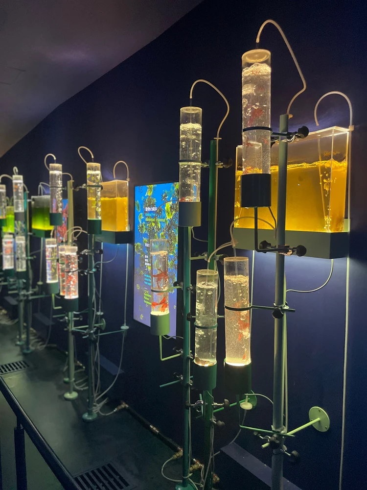 大阪万博2泊3日！楽しかったけど疲れました...笑_8