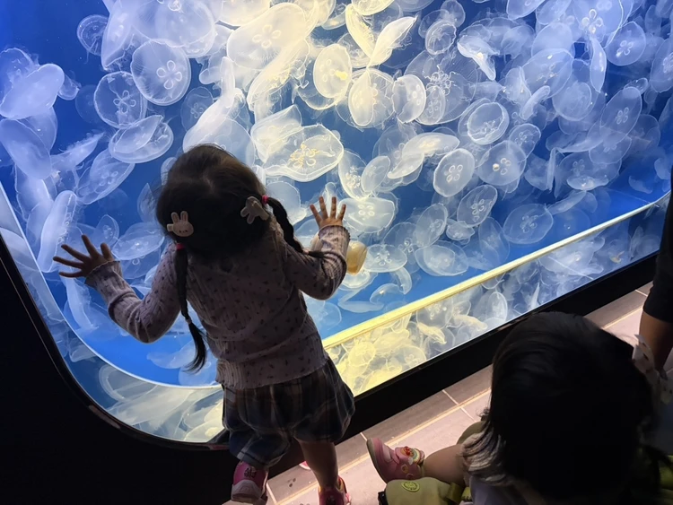 【後編】子連れで鴨川シーワールドを120%楽しむ方法|展示・お食事・混雑対策まで_2