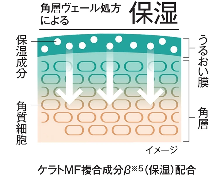 角質ヴェール処方による保湿