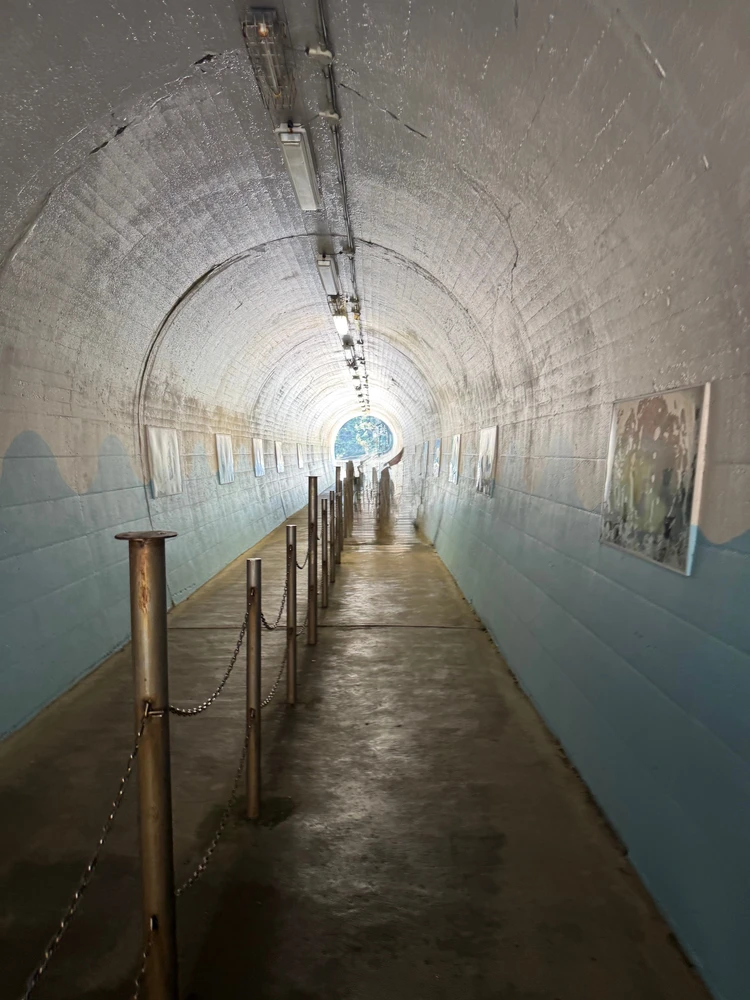 【千葉・勝浦】車無しでもOK！都内から日帰りお出かけプラン【シルバーウィークにも◎】_11_1