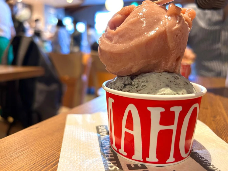 【Vegan対応】スイーツオタクが選ぶ関東No.1アイス🍨逗子CREMA HOP(ｸﾚﾏﾎｯﾌﾟ)#BAILAアイス部_3