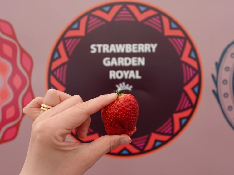 ロイヤルクイーン