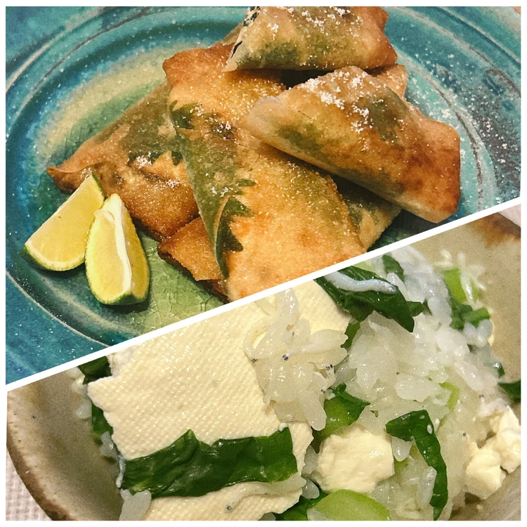 長谷川あかりさんレシピ"豆腐と塩昆布の春巻き"と"豆腐としらす、小松菜の炊き込み"