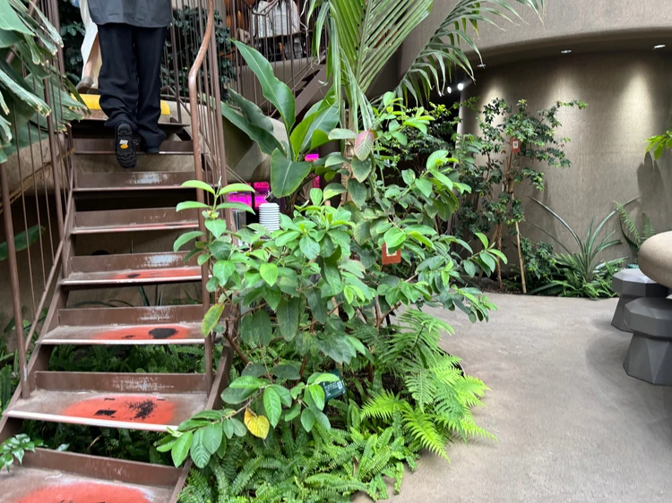 【渋谷駅から徒歩約10分の植物園】渋谷区ふれあい植物センターなら雨の日も楽しめる!_7