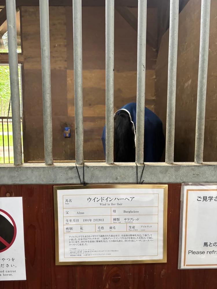 【親子三世代での北海道旅行③】新千歳空港付近での自然体験。乗馬、キャラメル作り、乳搾り_7_3