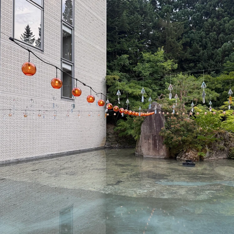 水庭の写真