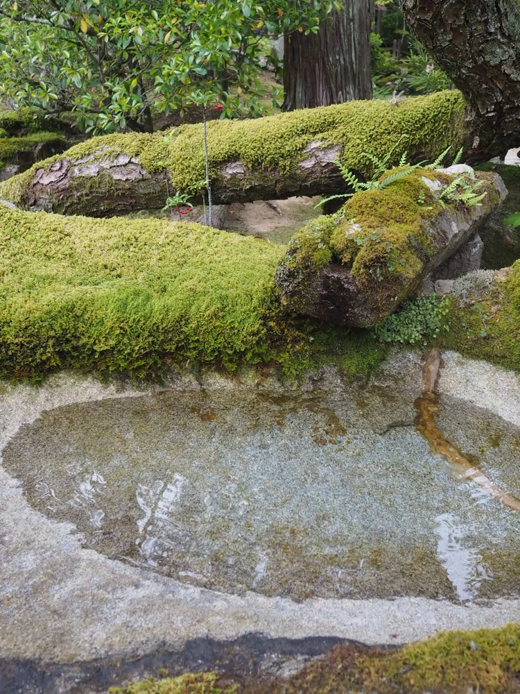 【京都】梅雨に行きたい！京都大人旅スポット3選。南禅寺・天授庵・梨木神社レポ〈2026年最新版〉_4_2