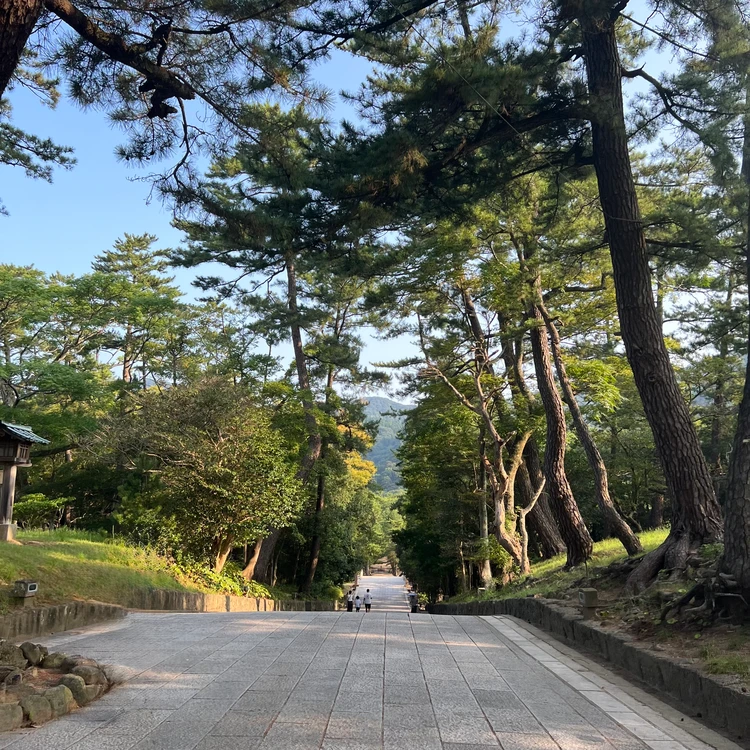 出雲大社の参道
