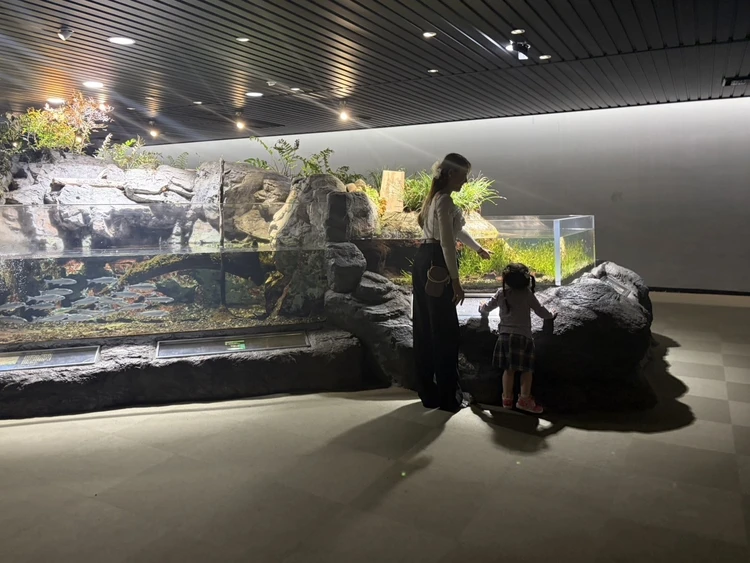 【後編】子連れで鴨川シーワールドを120%楽しむ方法|展示・お食事・混雑対策まで_4