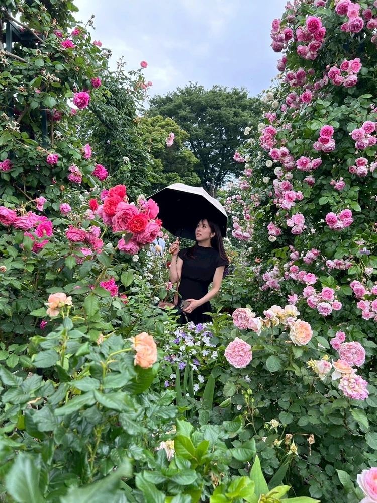 【横浜】圧巻!港の見える丘公園でバラに癒されるひととき_2_1