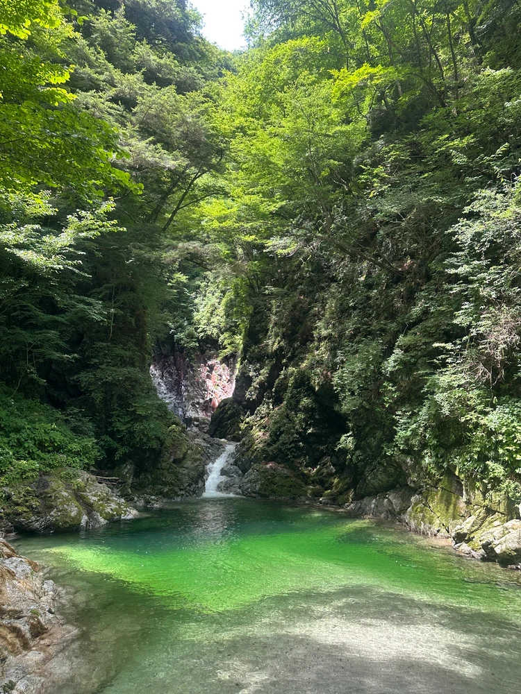 【真夏でも涼しいひんやり避暑スポットVol.1山梨編】尾白川渓谷・サントリー天然水南アルプス白州工場で、清流と大自然に癒される旅_5