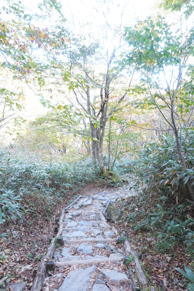 【尾瀬ハイキング】平地だけじゃなかった！初心者が紅葉シーズンに6時間歩いてみた_4_2