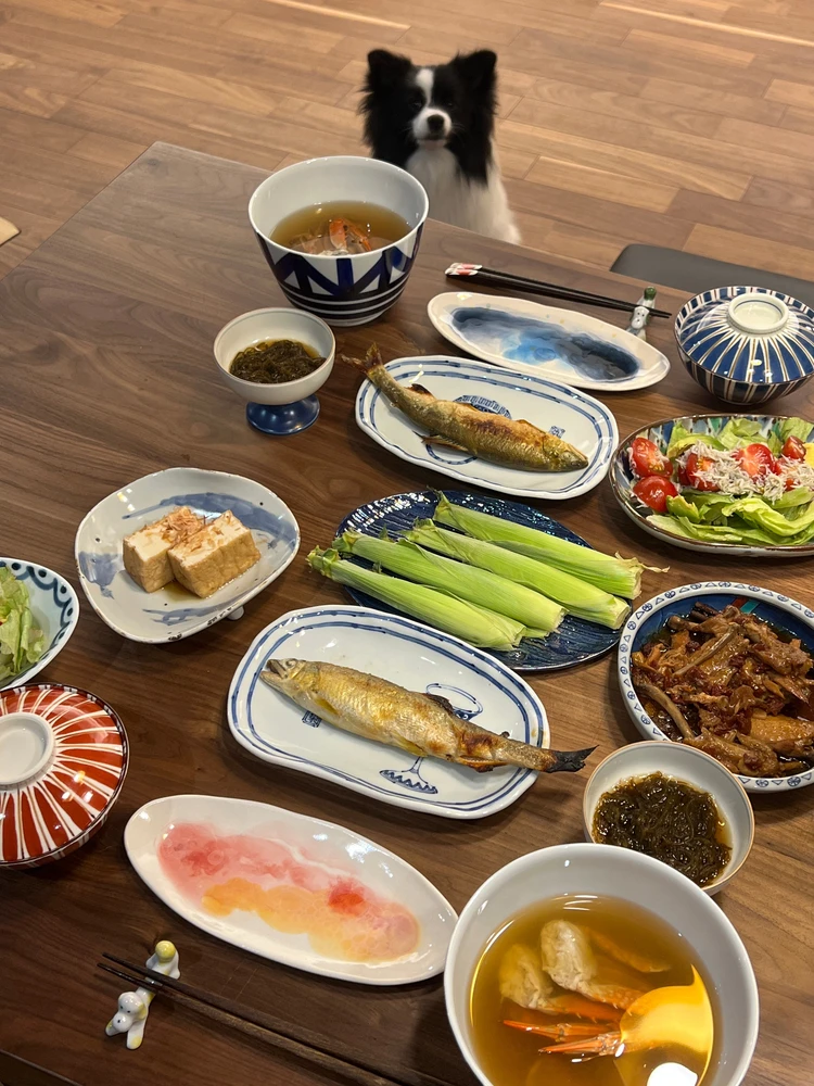 【うつわオタクが語る】こだわりの器ご紹介#おうち部_6_1