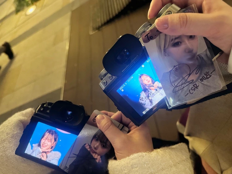 撮影してきた写真