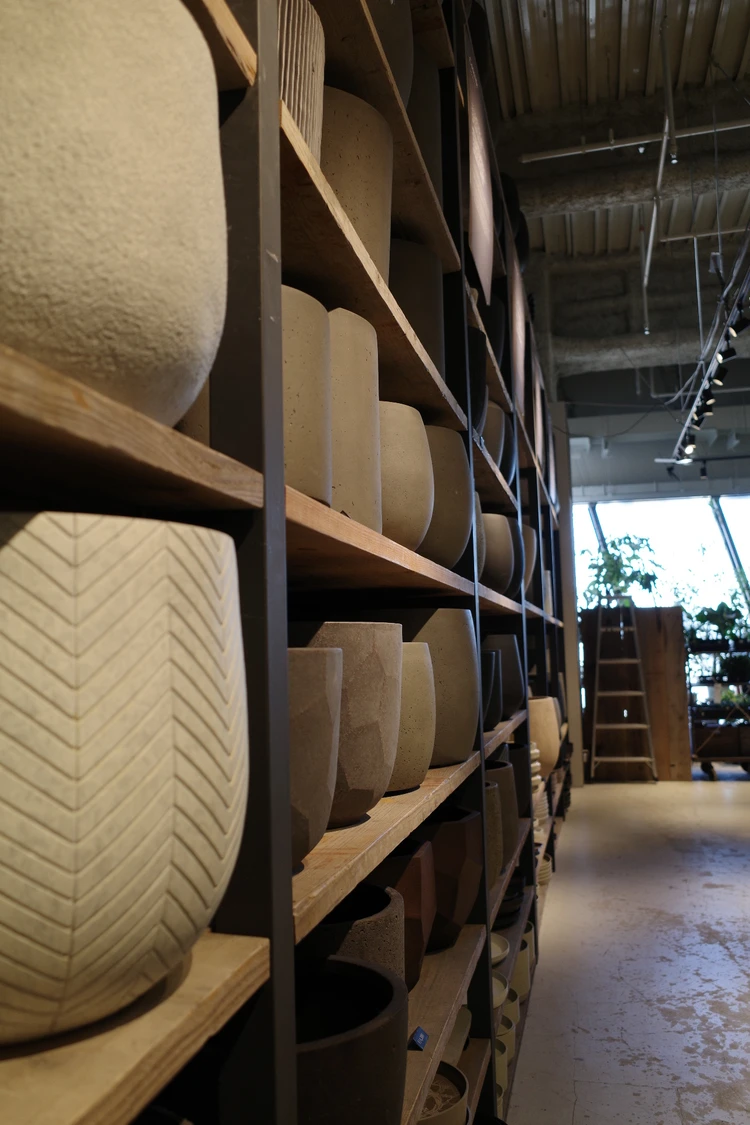 観葉植物 garageshibuya garage 鉢植え