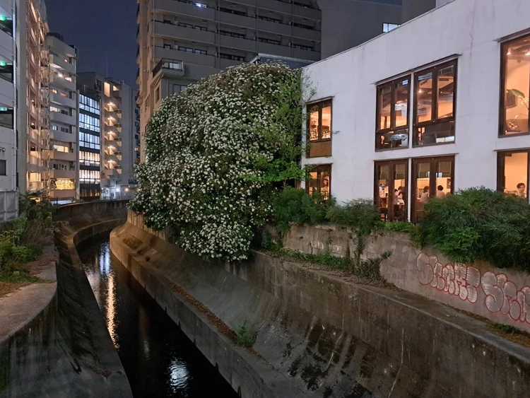 恵比寿の隠れ家で女子会ディナー！バイラーズも大満足タイ料理ビストロ【活動記録】_6