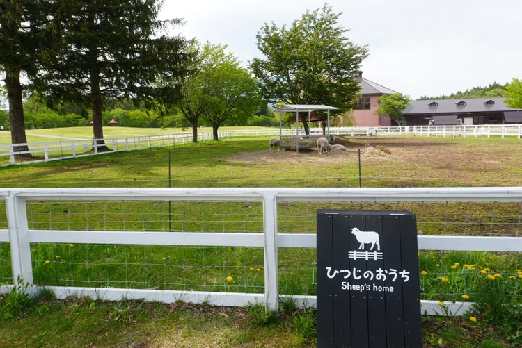 【1日目｜岩手】盛岡冷麺と小岩井牧場を巡る東北2泊3日モデル旅_12_1