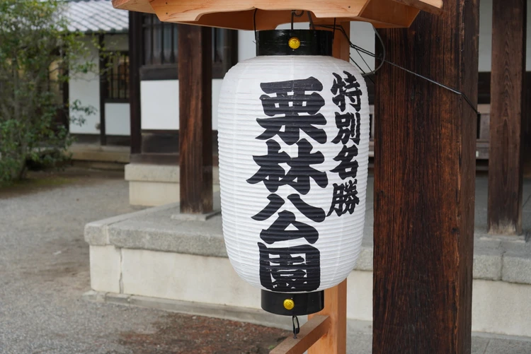 【香川・小豆島旅①】絶品うどんから至福のスイーツまで！初夏の高松グルメ巡り_7_1