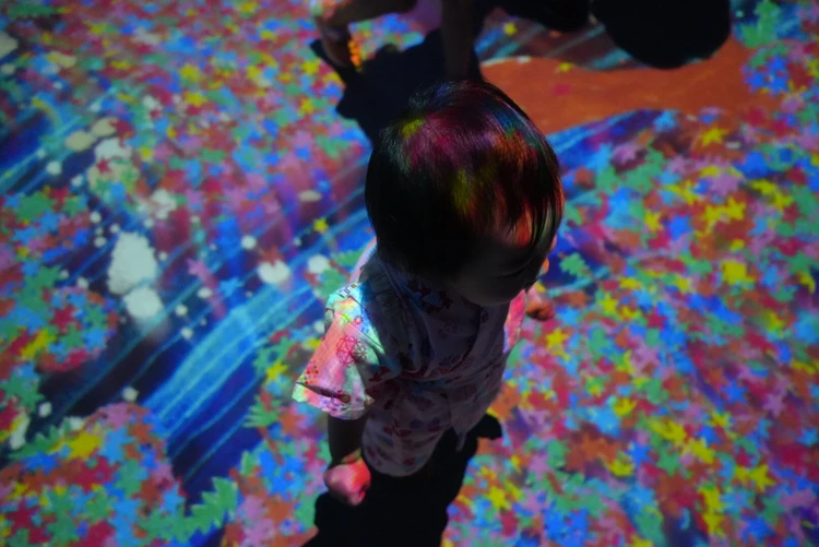 8月期間限定【チームラボ　涼みながら楽しめる子連れスポット】in徳島_3