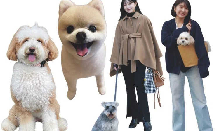 モデル&スタッフの可愛すぎる愛犬を公開♡【チームBAILAのわんわんSNAP】