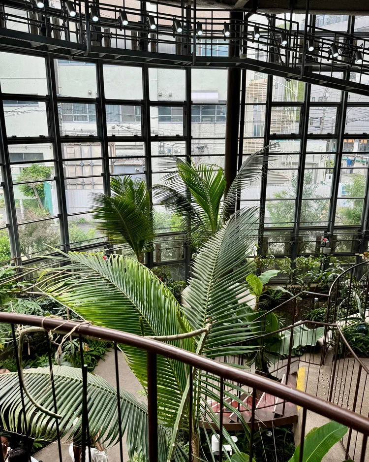 【渋谷駅から徒歩約10分の植物園】渋谷区ふれあい植物センターなら雨の日も楽しめる!_1