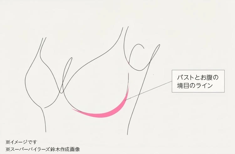 ブラデリスニューヨーク　補正下着　バージスライン