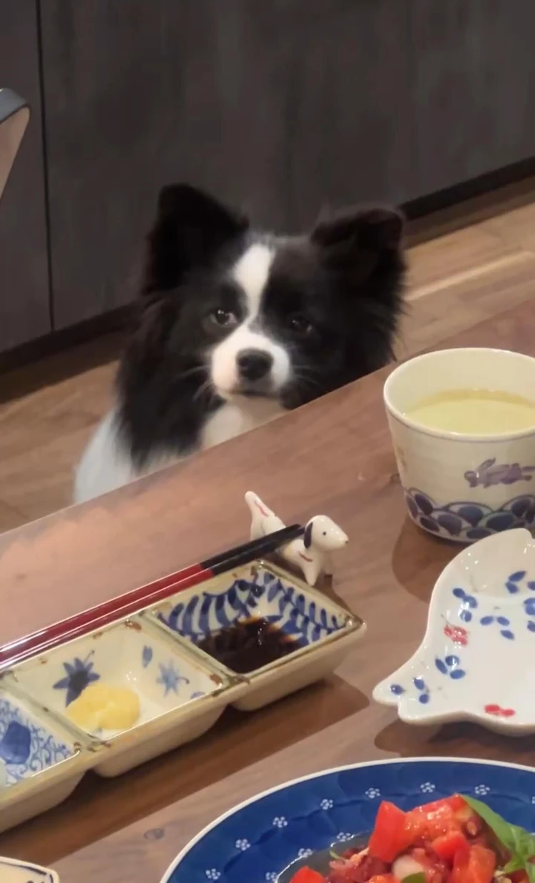 【うつわオタクが語る】こだわりの器ご紹介#おうち部_4_3