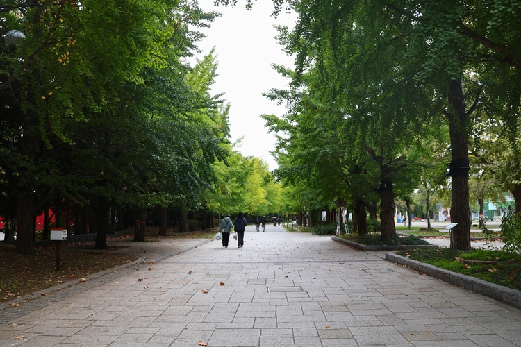 【札幌】紅葉見頃！中島公園（＋ススキノ）を弾丸ゆったり楽しむ１泊２日旅【2025年秋モデルコース】_16