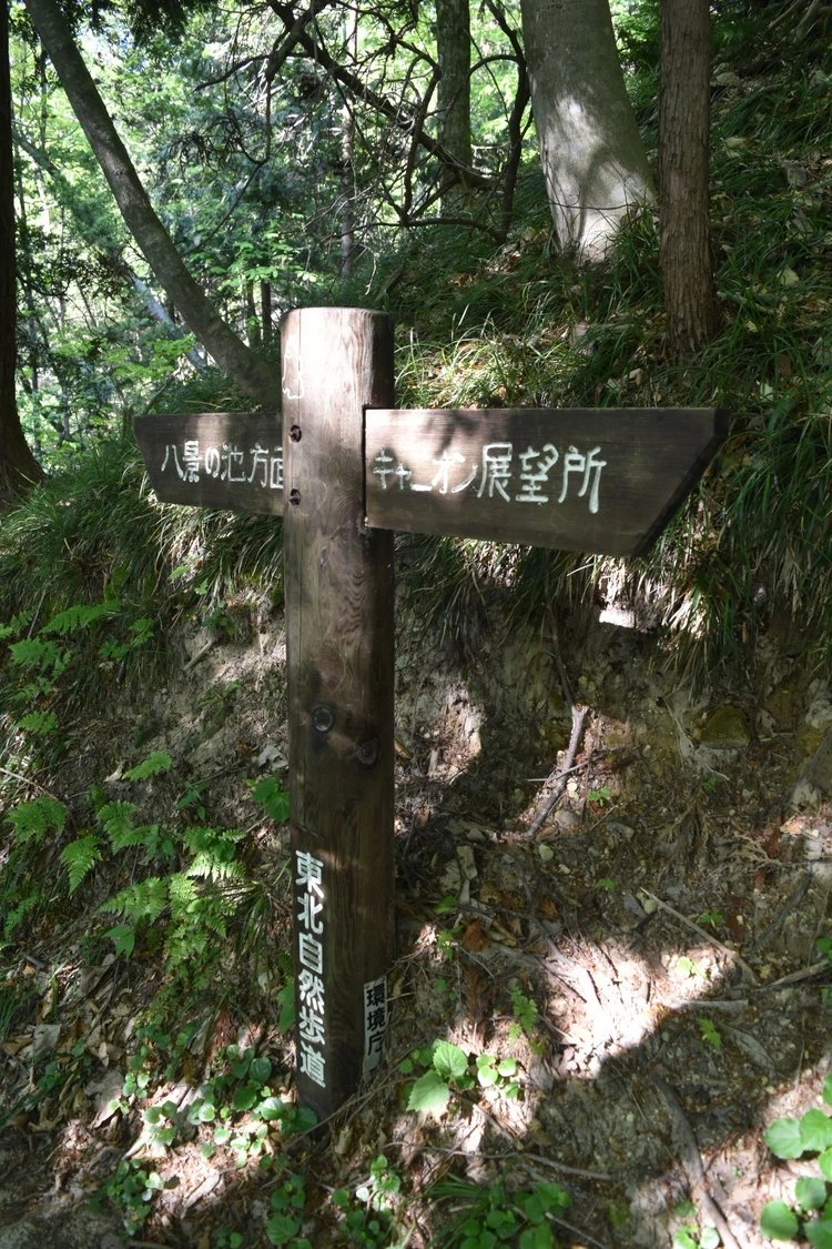 【2日目｜青森】十和田湖と白神山地を巡る大自然の東北絶景旅_13_2