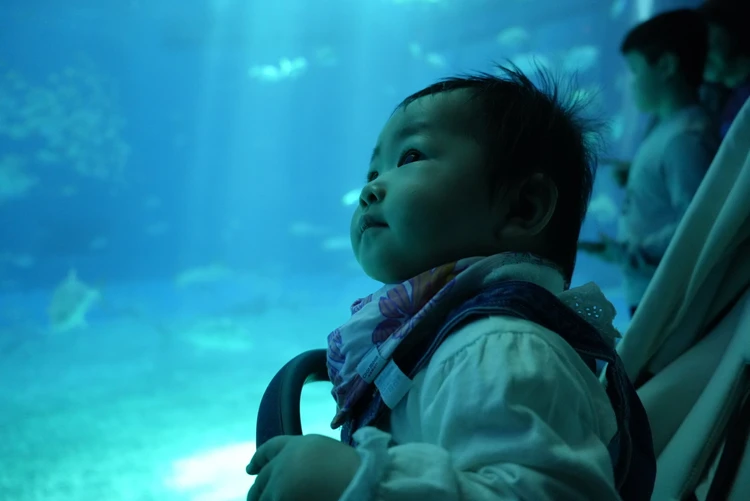 10ヶ月ベビーと行く3泊4日沖縄旅後半【美ら海水族館、プール、ホテルディナー、やちむん通り】_6