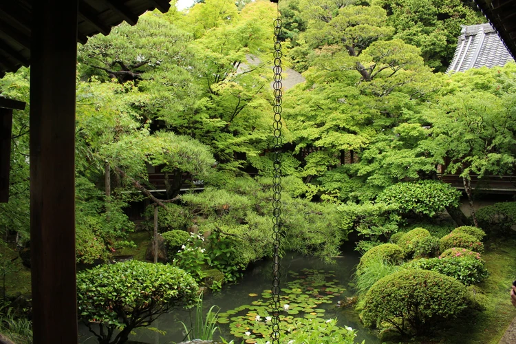 【#朝活】京都・東山「丹」へ。川のせせらぎと丁寧な和朝食で特別な朝_8