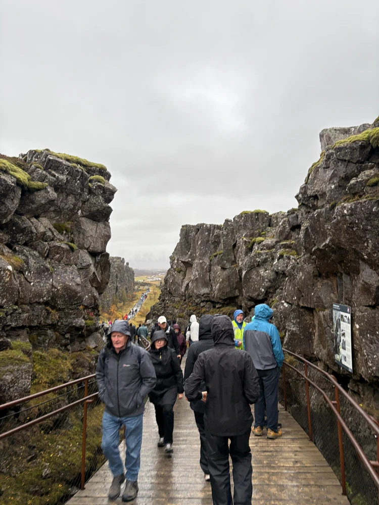 暮らすように旅する北欧・アイスランド! 大自然とカフェ巡りを4日間で堪能するモデルコース|前編_15_2