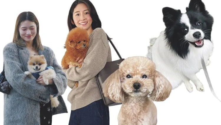 【わんこ】スーパーバイラーズの愛犬が登場♡リアルな溺愛わんこ事情も【チームBAILAのわんわんSNAP】