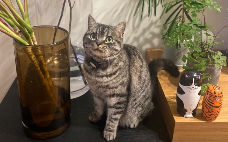 【花器が好き!】花とグリーンのある暮らしが教えてくれたこと【エディターズピック】