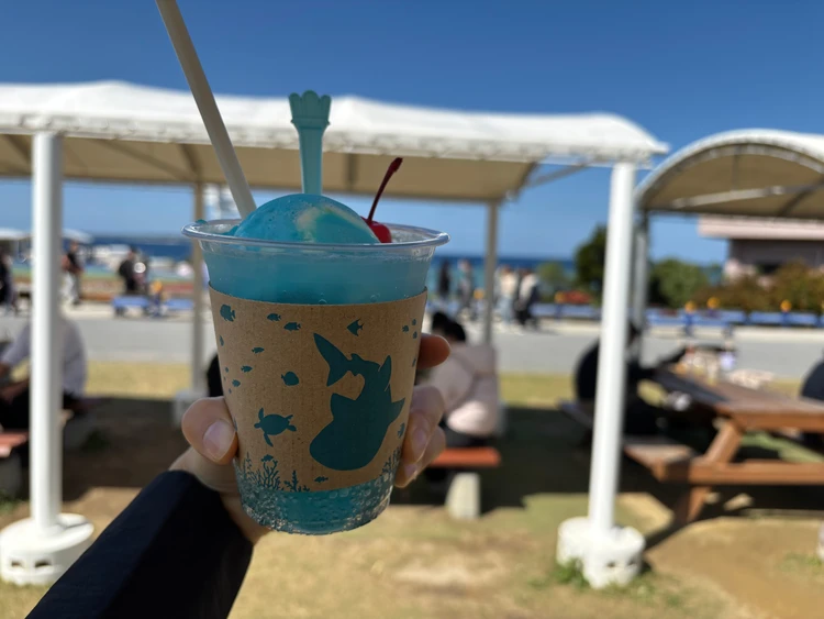 10ヶ月ベビーと行く3泊4日沖縄旅後半【美ら海水族館、プール、ホテルディナー、やちむん通り】_9