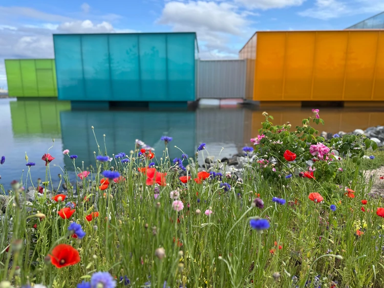 下瀬美術館　世界一美しい美術館　広島観光